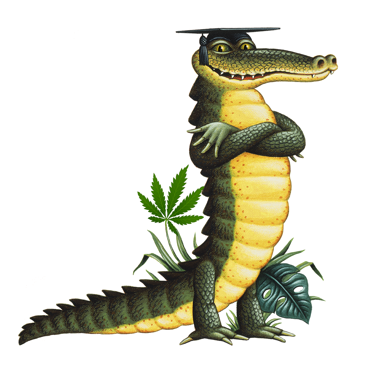 CBD CROC EDUCATION